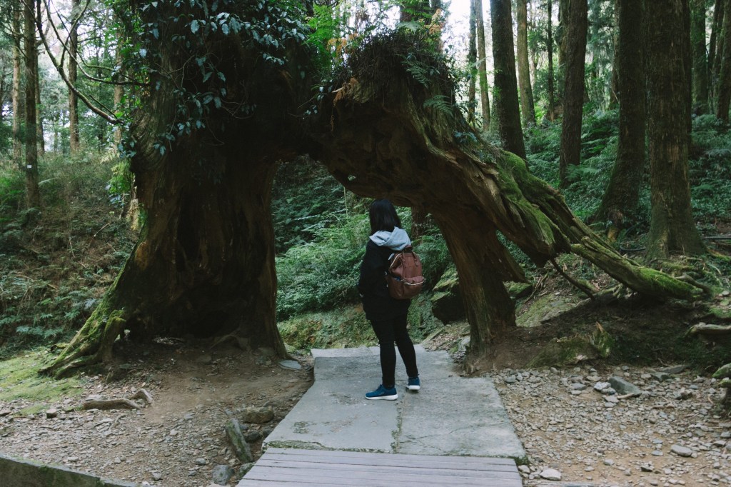 From Trauma to Recovery: Types, Symptoms, and Treatment Options&nbsp;Explained